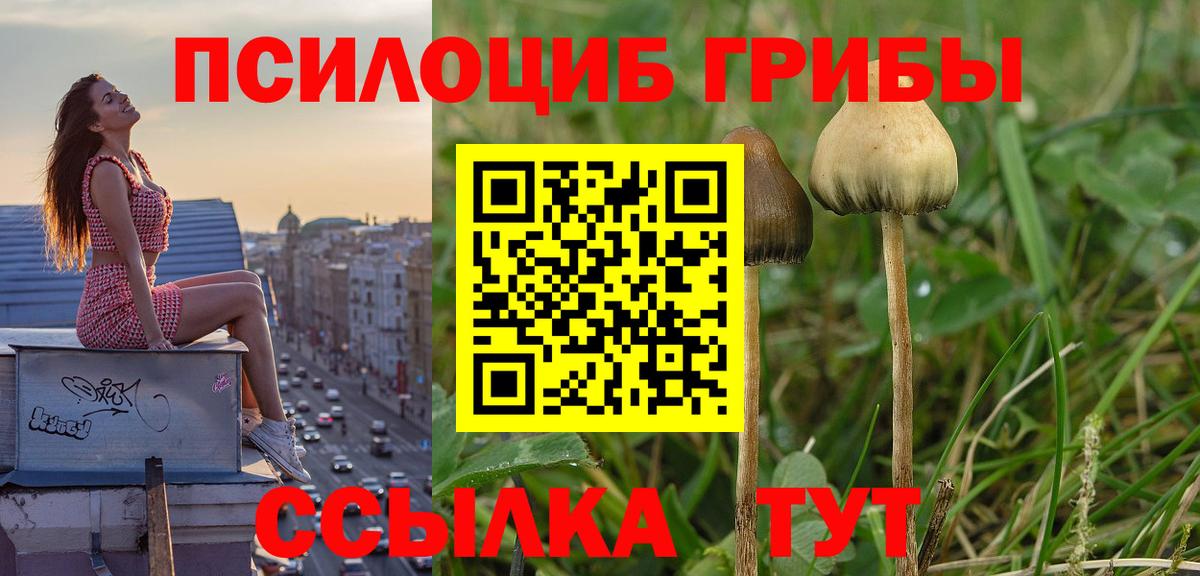 Мариинск  Псилоцибиновые грибы ЛСД  Вход с VPN 