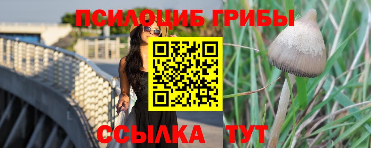 Галлюциногенные грибы Psilocybine cubensis Мариинск